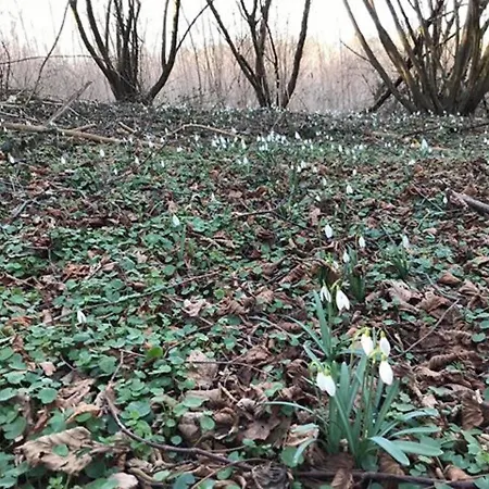 Tuettoes Vendeghaz Panzió Hedrehely